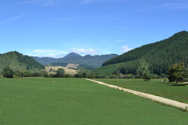 132 hectare dairy farm nestled amongst the lush greenery of the Rai Valley, the gateway to the Marlborough Sounds